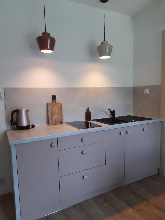 Biala Czapla Apartment Augustow Ngoại thất bức ảnh